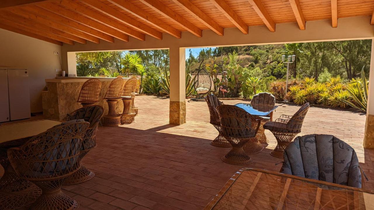 Casa Do Palmeiral - Hoom B&B Montes de Cima Zewnętrze zdjęcie