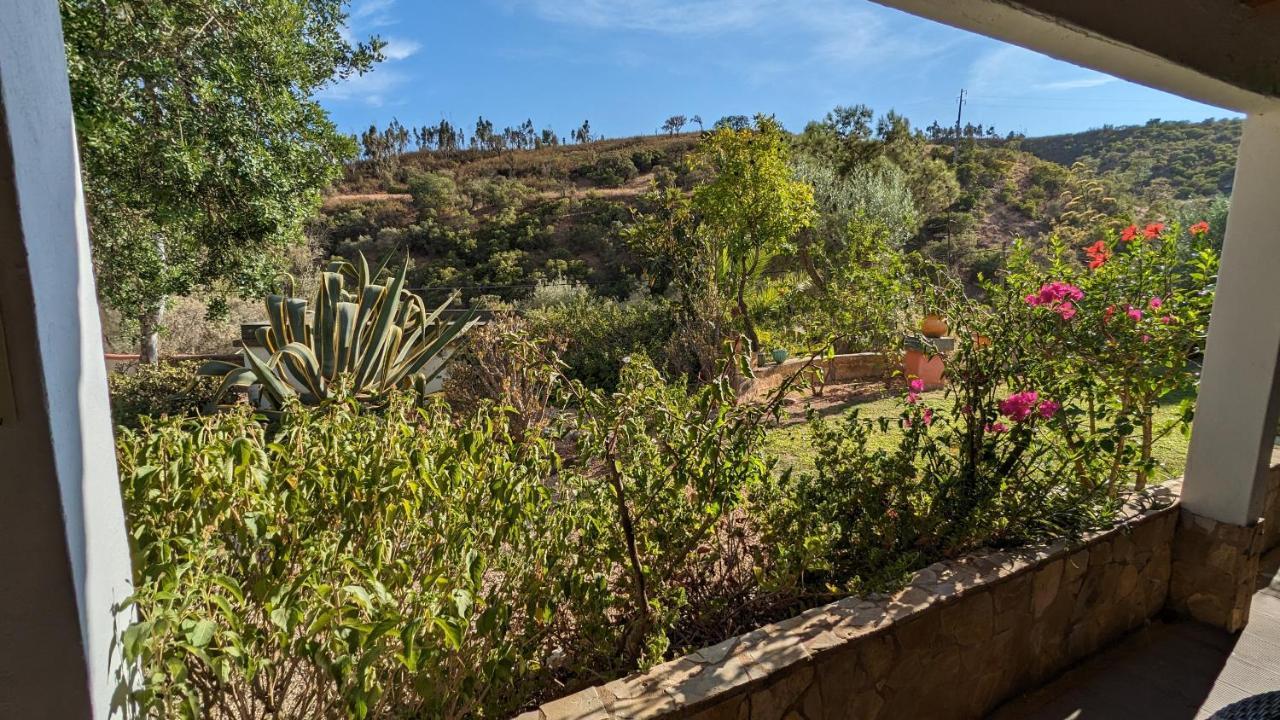 Casa Do Palmeiral - Hoom B&B Montes de Cima Zewnętrze zdjęcie