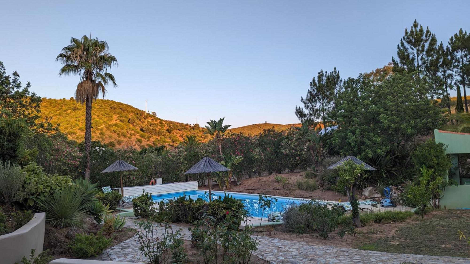 Casa Do Palmeiral - Hoom B&B Montes de Cima Zewnętrze zdjęcie